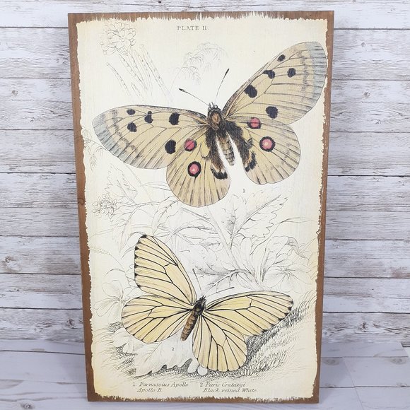 Ashland Art Wood Moth Print Wall Hanger Art Nature Plate 1 Poshmark